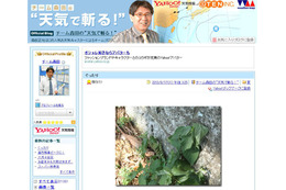 お天気キャスターも驚きの暑さ~東京、三重で38.2度 画像