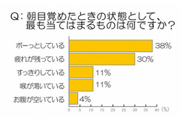 ハウス、“年末年始に役立つ英会話”を学べる専用サイトを期間限定で公開 画像