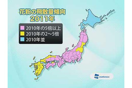 2011年の花粉量予想、昨季比東京で8倍、関西では10倍を超えるところも！ 画像