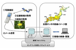 「みんなで創ろう全国タンポポ前線マップ」、富士通がケータイ・ICT活用で実施 画像