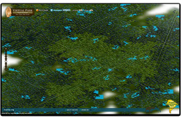 リリース間近の「Firefox 4」、ツイートが動植物を生み出す森「Virtual Park」公開 画像