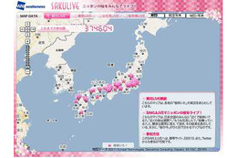 全国の桜の開花状況をリアルタイムで提供……ウェザーニューズの「SAKULiVE」 画像