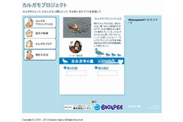 NECとBIGLOBE、インターネットでカルガモの生態を生中継……Webカメラを設置 画像