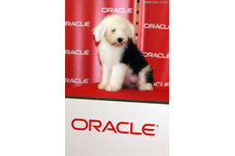 日本オラクルの“社員犬”「キャンディ」がFacebookを開設 画像