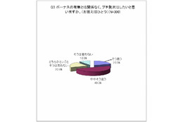 「プチ贅沢」に関する意識調査……「プチ贅沢」3,000円の使い道は? 画像