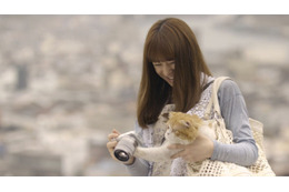 北川景子が愛猫に笑顔……新CM&特別映像を先行公開 画像