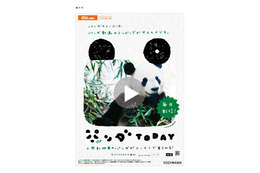 上野動物園のパンダの動画を配信する「パンダ TODAY」、パンダゆかりの地にポスターを掲出 画像