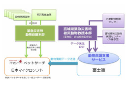 【地震】日本マイクロソフトと富士通、被災ペットの情報公開でシステム連携 画像