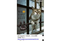 1,440枚のネコたちが登場「岩合光昭のねこのとけい」アプリ 画像