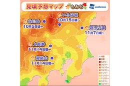 今年の紅葉の見頃時期は例年並みか 画像