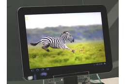 【CEATEC 2011(Vol.13)】REGZA Tabletの実機を試せる東芝ブース 画像