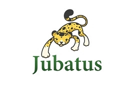 NTTとPFI社、ビッグデータのリアルタイム処理を可能にする新技術「Jubatus」を開発 画像