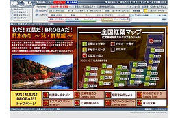 BROBAで紅葉を愛でる〜「日本の今〜秋・紅葉編〜」10/9オープン 画像