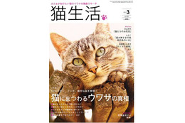 【本日発売の雑誌】猫にまつわるウワサの真相……「猫生活」