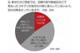 屋外で発生したゴキブリが自宅に侵入……“もらいゴキ”、対策できている人は16% 画像