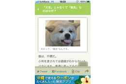 なぜ「犬舌」じゃなく「猫舌」?……無料iPhoneアプリ「巷のB級ニュースを毎日配信!『Excite Bit コネタ』」 画像