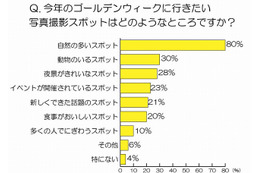 カメラ好き男性が行きたい「GW人気撮影スポット」調査……ニコンイメージングジャパン調べ 画像