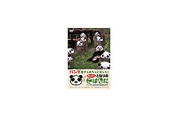 弟パンダ「QQ(キューキュー)」が新登場!“兄パン”はDVDに 画像