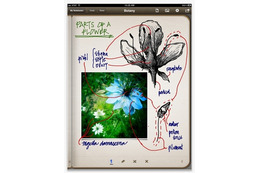 Evernote、高評価の手書きアプリ「PENULTIMATE」を買収 画像