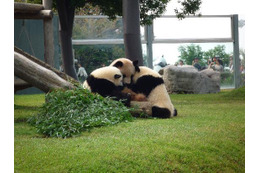 行ってよかった動物園&水族館ランキング、王者「旭山動物園」が2位降格!1位は!? 画像