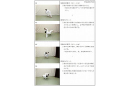部活動中の死亡事故トップは「柔道」 文科省 画像