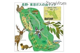 体験型環境スクール、森の生きものを大調査 10月20日 画像