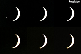 金星食が8月14日未明に……26年ぶり、次回は2063年 画像
