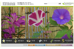 植物と昆虫の不思議な関係を学ぶ 9月15-23日 画像