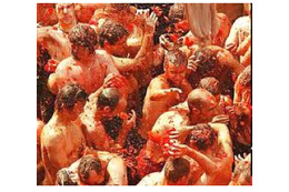 “トマト祭り”日本開催は中止! 「賛否両論が沢山」 画像