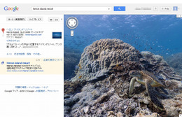 Googleストリートビュー、海中も見られるように……海ガメ、マンタ、海底の様子など 画像