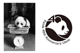 パンダ来日40周年記念イベント 10月28日 画像