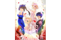 「TYPE-MOON Fes.」BD-BOX ジャケットイラスト、収録内容を公開 画像