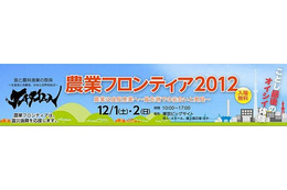 子どもも大人も楽しめる食と農林漁業の祭典　12月1-2日 画像