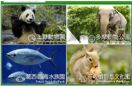都立動物園・水族園「Visit ほっと Zoo 2013」…プレイベントも開催 画像