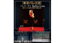 子どものためのバレエ「ねむれる森の美女」など 1月25日から 画像