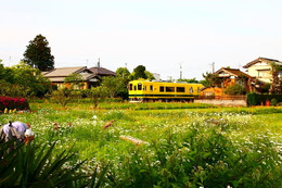 いすみ鉄道、国鉄キハ52形ふうの新型気動車350形の外観を公開 画像