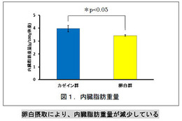 キユーピー、卵白摂取による内臓脂肪減少の可能性を示唆…学会で発表 画像