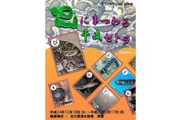 ヘビにまつわる干支セトラ 2月17日まで開催 画像