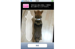 ペットの肥満をチェックできるアプリ 画像