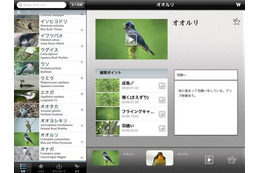 iPadで野鳥観察を楽しむ「Smart Birding 野鳥映像アーカイブス」発売 画像