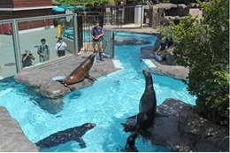 【春休み】動物園・水族園でイベント満載 画像