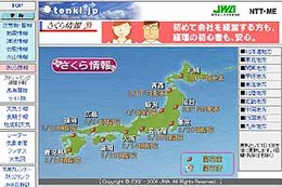 花見シーズン到来は観測史上2番目の早さに〜tenki.jpがさくら情報スタート 画像