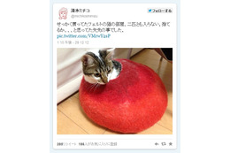 2月22日は「猫の日」、Twitterでもネコ画像が続々……「ほぼ日」はニャッ刊に 画像