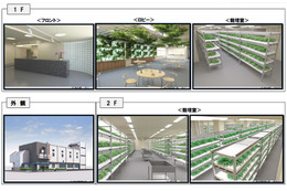 NTT西、水耕栽培によるレンタル農園「みえーるエコ畑」を開園 画像