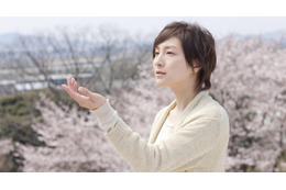 映画でお花見? スクリーンに咲く“桜映画” 画像