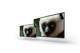 ソニー、56型&30型の4K有機ELモニタを「NAB 2013」で技術展示 画像