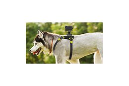 犬目線の撮影も可能! ソニー、サーフボードマウントなどアクションカメラ用アクセサリ8製品 画像