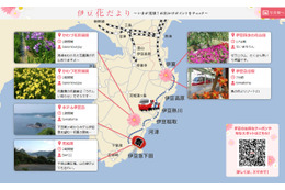 NTTと伊豆急グループ、観光客を支援するO2Oサービス「伊豆花だより」開始 画像