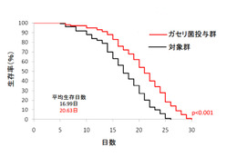 人間だったら107歳!?　“線虫”の寿命を延ばした意外な食物 画像