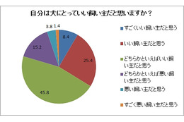 「自分は良い飼い主」は勘違い?……「犬の食事代は1日200円未満」9割 画像